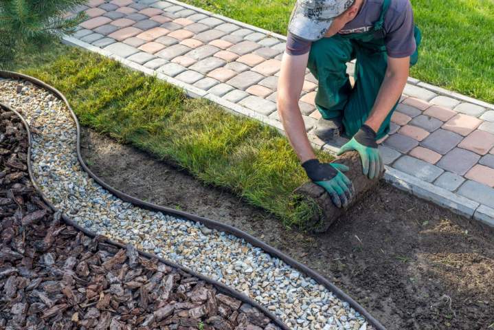 Conception jardin paysager Illfurth